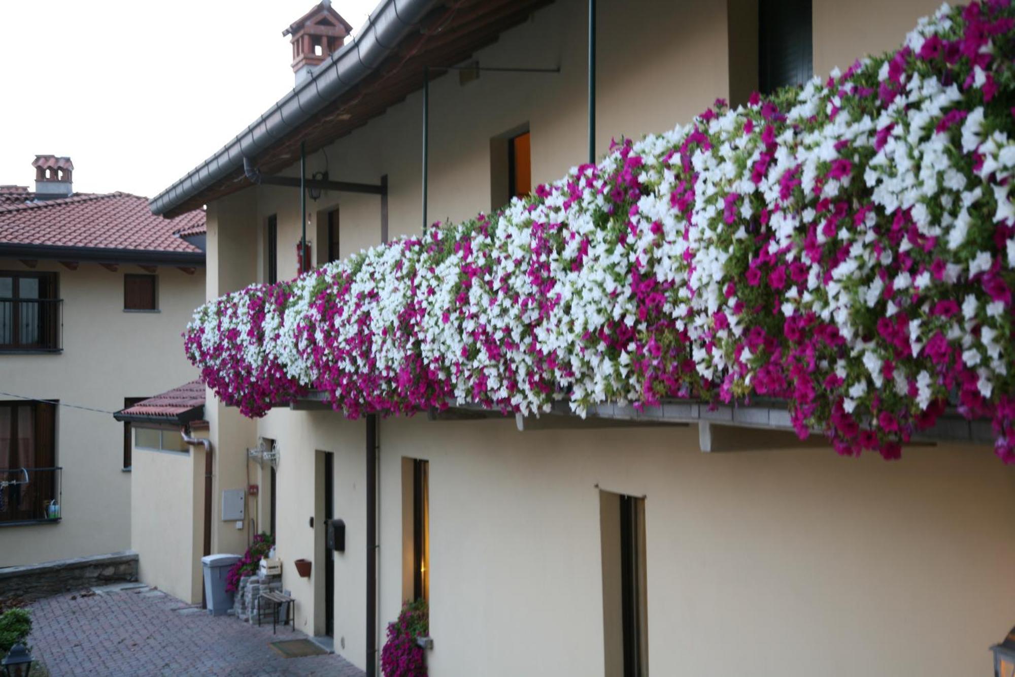 Locanda Dell'Oca Bianca Como Exterior photo